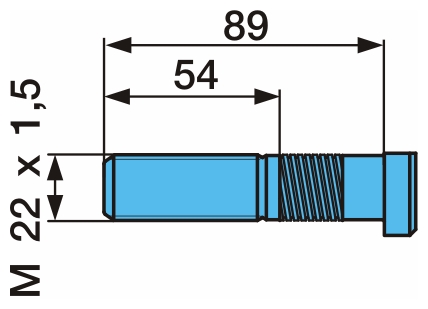   BPW L-89 22*1,5    ORIGINAL