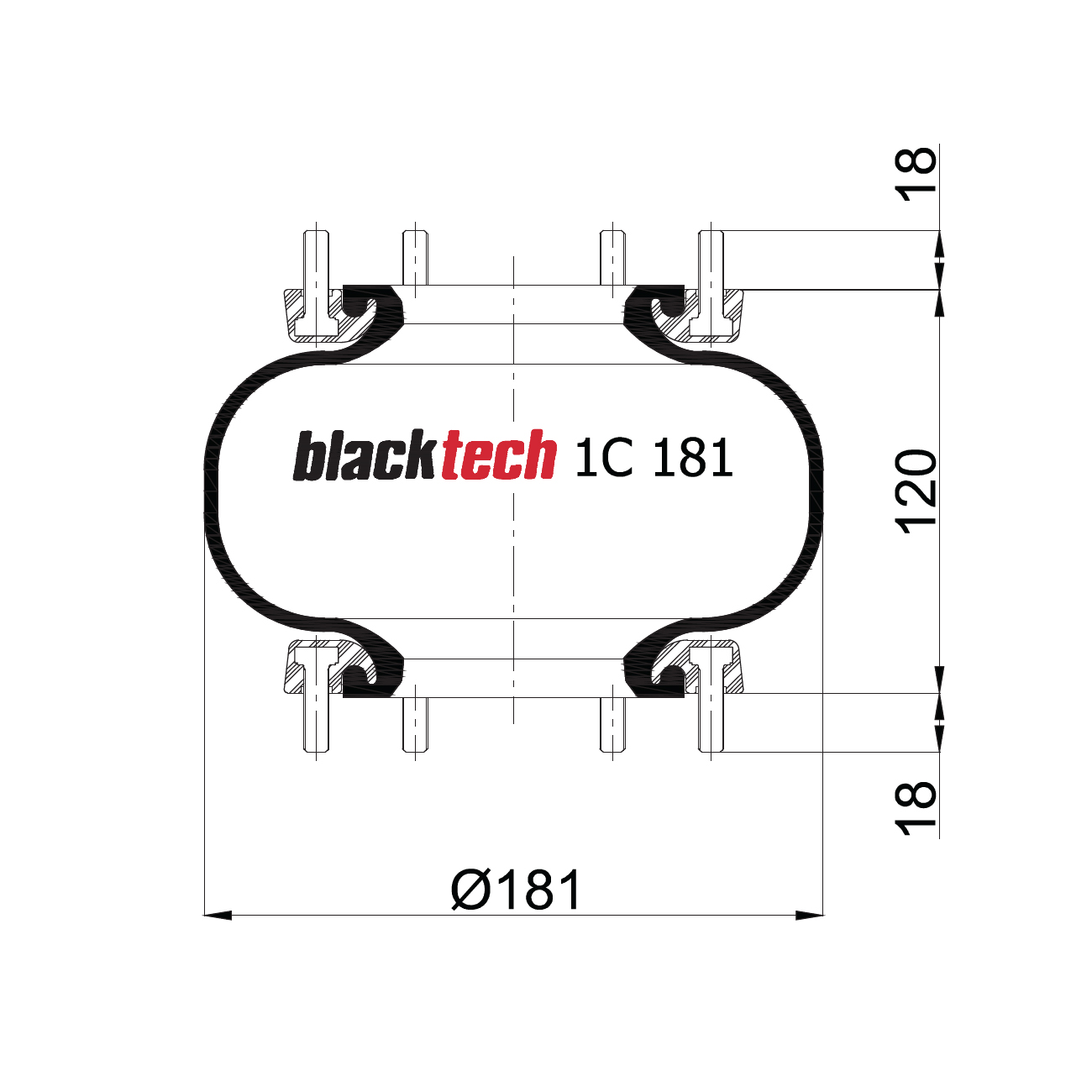  BLACKTECH