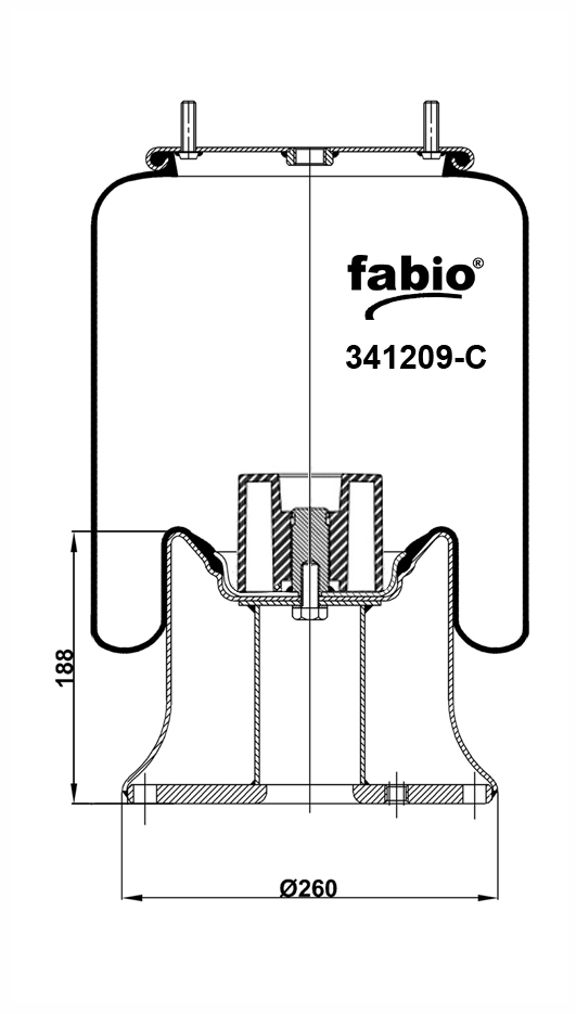  Zorzi / 2-_2- / -  h=188 / FABIO