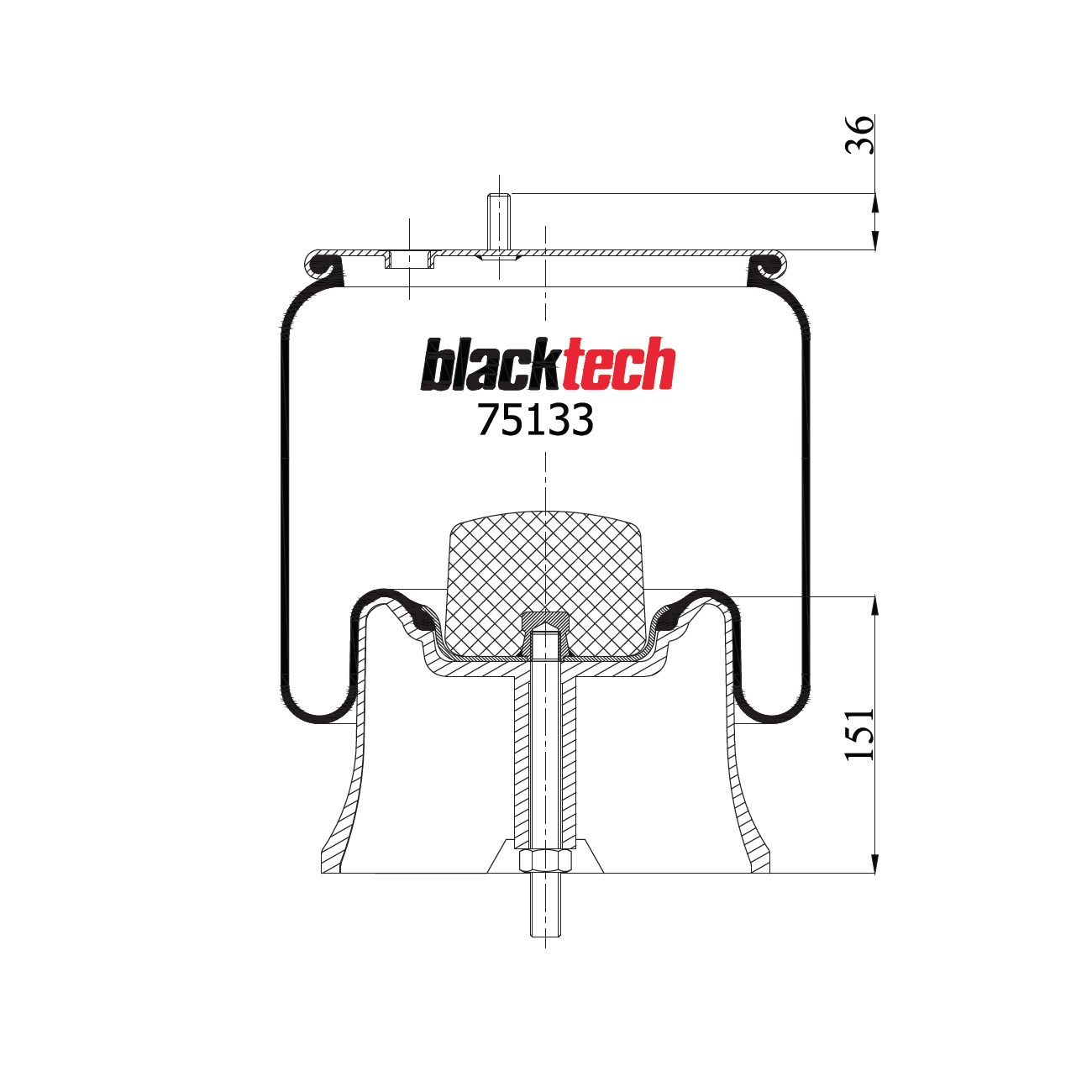  BLACKTECH    h=150 Saf 2619V