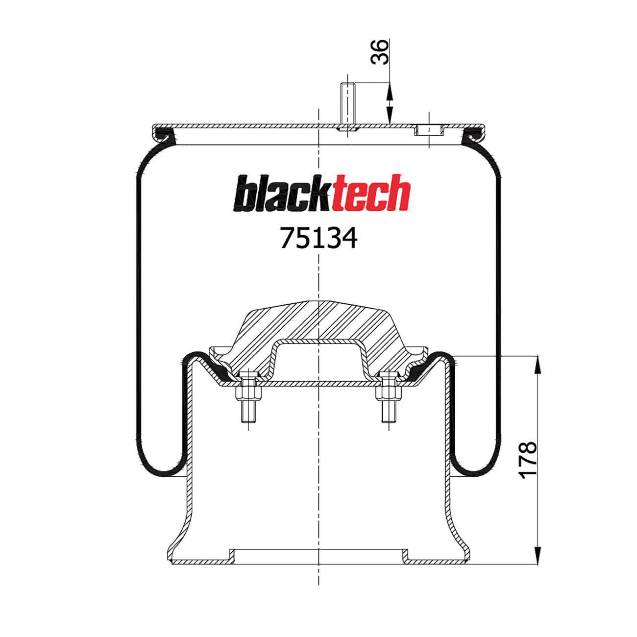  BLACKTECH    H=178 SAF 2923V