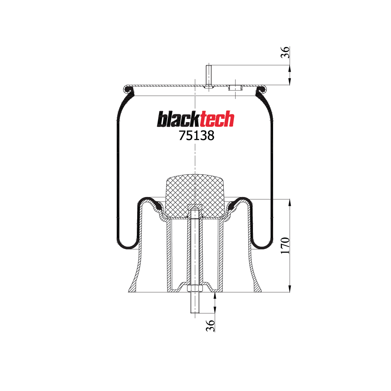  BLACKTECH/ 2621V--Krone / -  h=170 / Saf