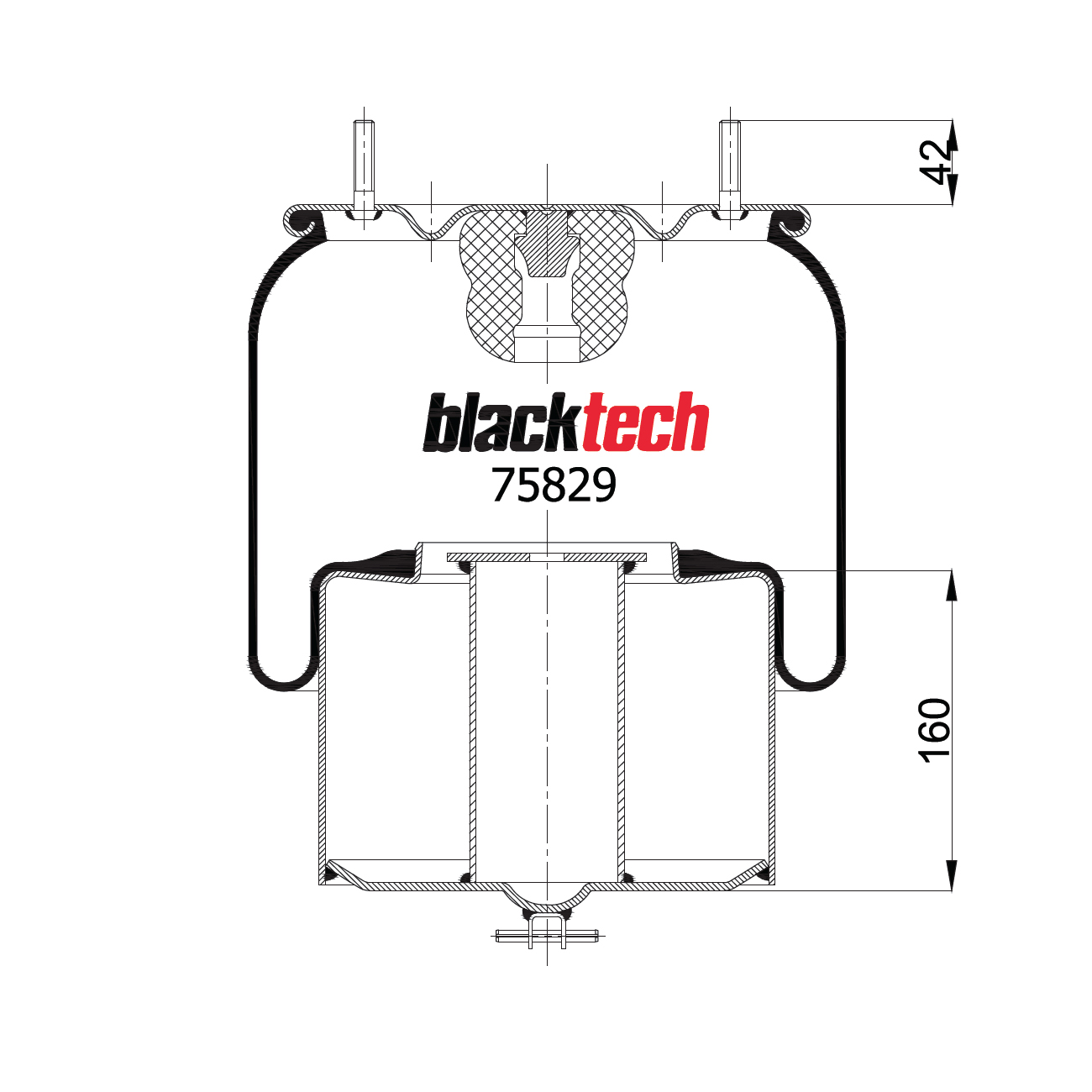  BLACKTECH