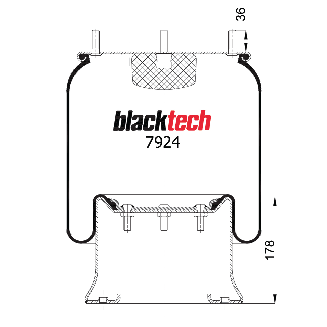     813MB BLACKTECH