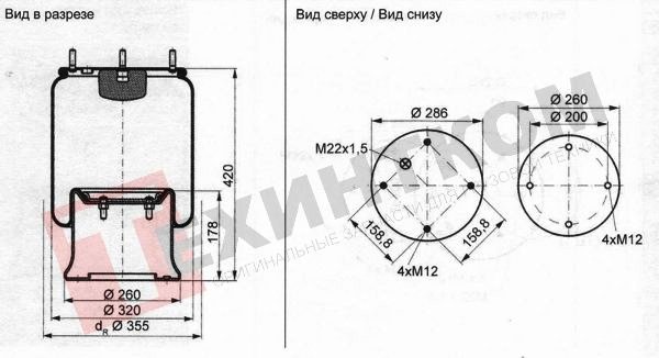  CONTITECH    h=182 SAF 2923=E2