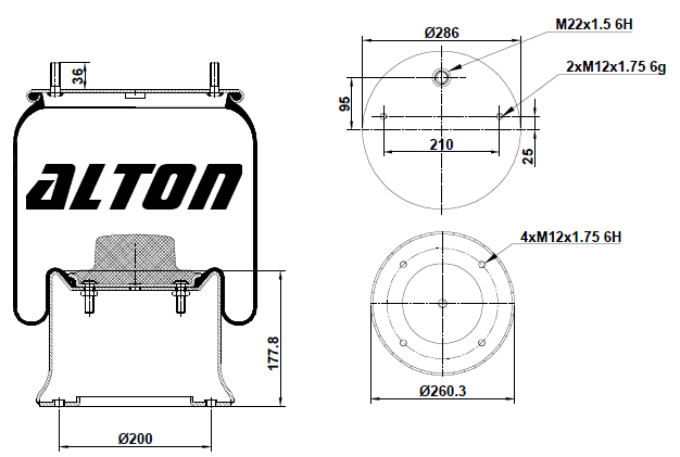  ALTON    h=178 / SAF